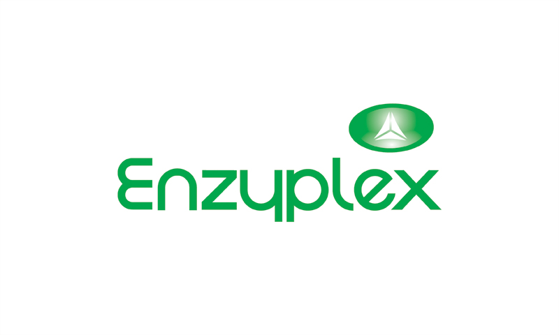 Enzyplex : Logo Design Sundae